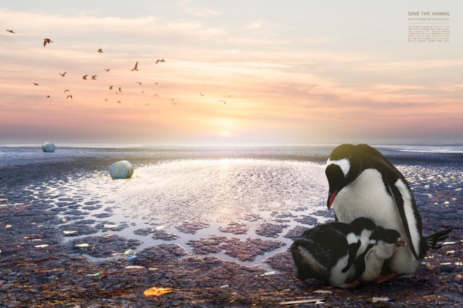 지구온난화로 남극의 펭귄도 생존에 위협을 느끼고 있다. 자료=글로벌이코노믹