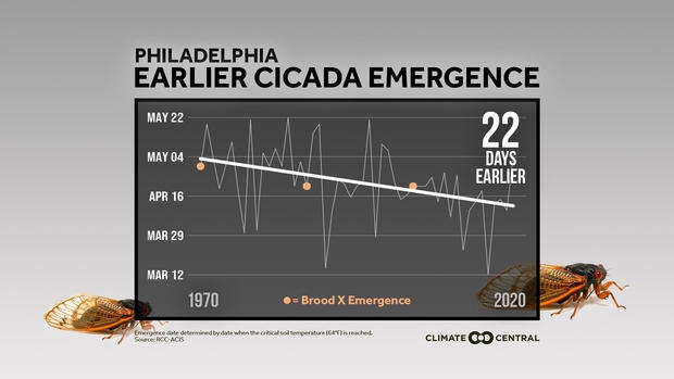 환경파괴로 매미가 지상으로 나타나는 시기가 빨라지고 있다. 자료=CLIMATE CENTRAL