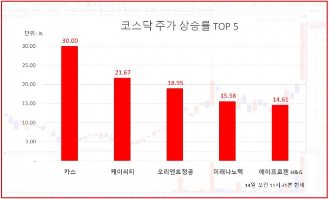 전자저울 분야 강자인 카스가 상한가를 기록했다. 자료=한국거래소