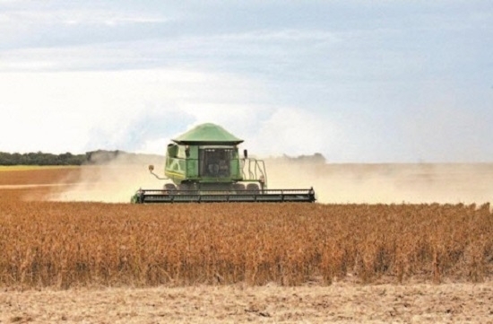 브라질의 대두 수확 장면, 사진=브라질 뉴스포털 UOL 캡처