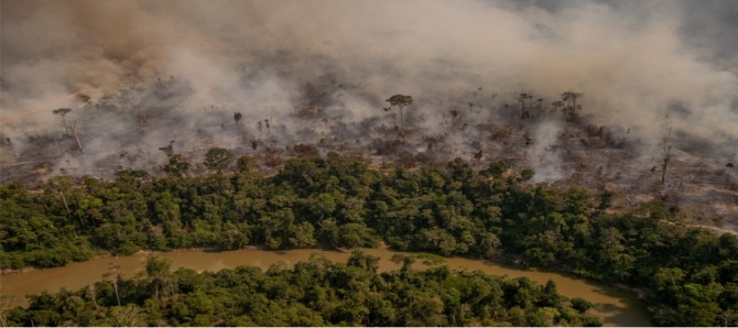 농경지를 만들기 위해 고의로 불을 지르는 바람에 지구의 허파로 불리는 아마존의 열대우림이 크게 훼손되고 있다.