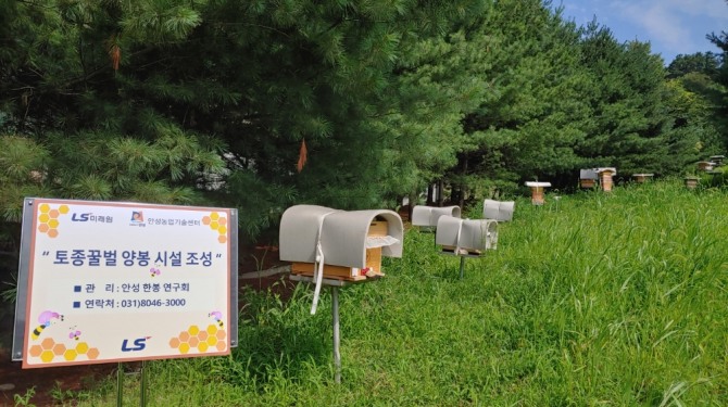 LS그룹 연수원 경기도 안성시 LS미래원 야외 정원에 토종꿀벌 양봉 시설이 설치되어 있다. 사진=LS그룹 