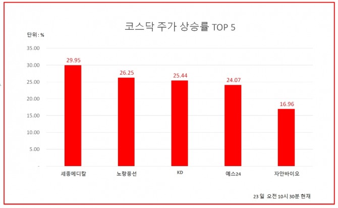 23일 한국거래소에 따르면, 코스닥 시장에서 세종메디칼은 전날 보다 29.95% 상승한 1만3450원에 거래되며 코스닥 종목 중 주가상승률 1위를 기록하고 있다. 자료=한국거래소