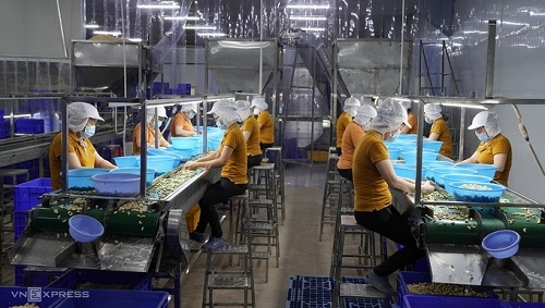 베트남 남부 캐슈넛 공장에서는 하반기 고용을 줄어야 할 상황이다. 