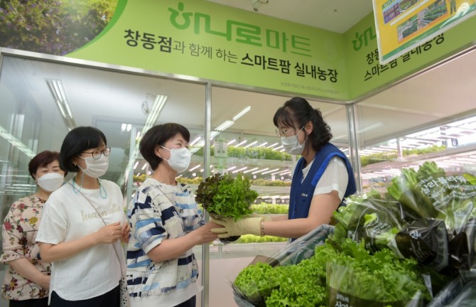 농협유통은 30일 하나로마트 창동점의 '스마트 팜'에서 첫 수확한 채소를 NH농협은행 우수고객에게 증정하는 행사를 개최했다. 사진=농협유통