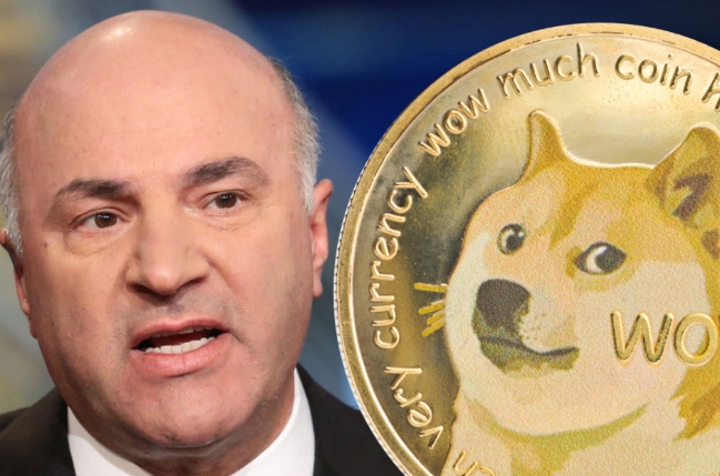 ‘미스터 원더풀’로 알려진 샤크 탱크(Shark Tank)의 스타 케빈 오리어리(Kevin O'Leary)가 도지코인 투자는 도박과 같다고 평가했다.