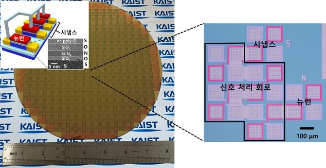 상용화된 CMOS 공정으로 제작된 단일 트랜지스터 기반 뉴런과 시냅스. 사진=KAIST
