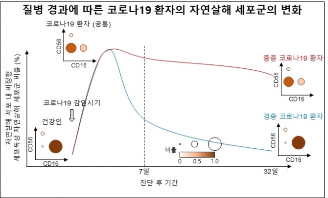 질병 경과에 따른 코로나19 환자의 자연살해 세포군의 변화. 사진=KAIST