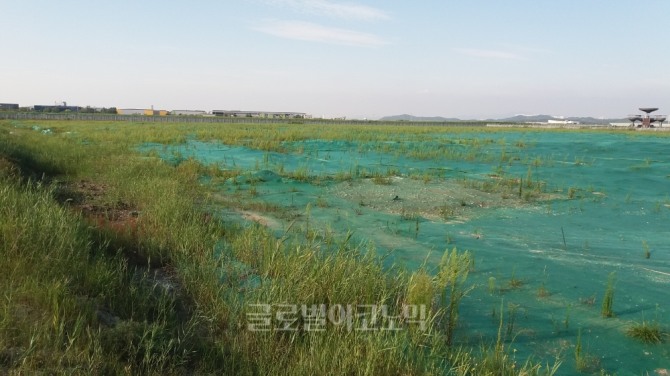 물 산업은 인구증가, 기후변화에 따른 물 부족 심화, 수질오염 등으로 21세기를 선도할 Blue Gold산업으로 부상하고 있다.