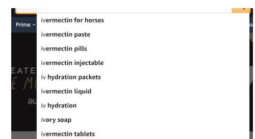 CNBC가 아마존에서 'iv'라는 용어를 검색하자 웹사이트 자동 완성 기능은 'iverectin pills', 'iverectin paste', 'ivermectin in injectionable' 등 다양한 이버벡틴 제품을 제시했다. 사진=CNBC 