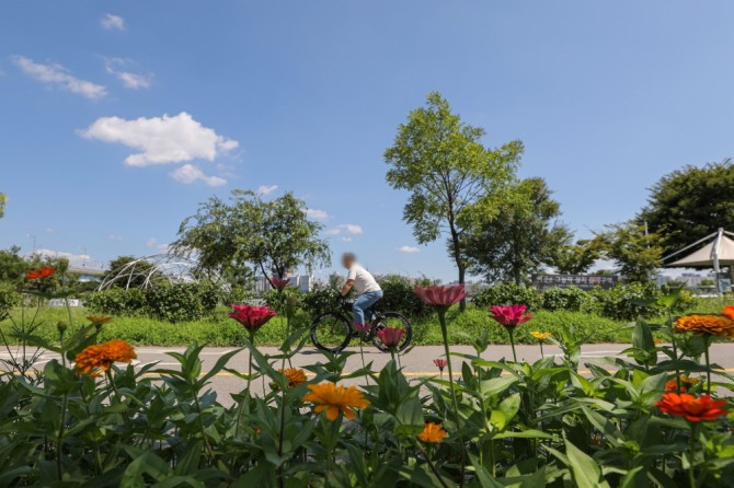 맑은 날씨를 보인 3일 오후 서울 영등포구 여의도 한강공원에서 시민이 자전거를 타고 있다. 사진=뉴시스