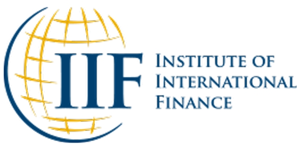국제금융협회 로고. 사진=국제금융협회 홈페이지 캡처