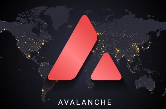 스마트 계약이 가능한 암호화폐인 아발란체(Avalanche)가 벤처 캐피털 회사 그룹으로부터 2억 3000만 달러의 투자를 받은 것으로 알려졌다.