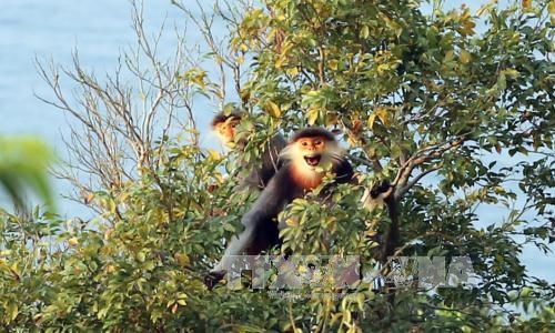 유네스코 생물권보전지역