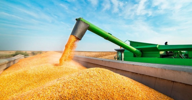 아르헨티나의 콩 수확 장면.사진=아르헨티나 이파머뉴스(eFarmnews)
