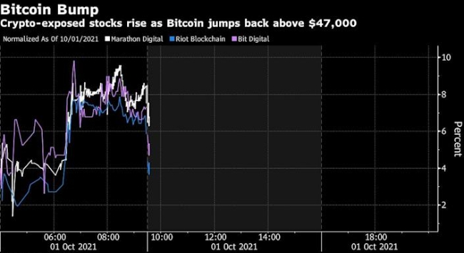 그래픽은 비트코인 가격 급등에 따른 암화화폐 관련 주식 가격 상승률 추이.