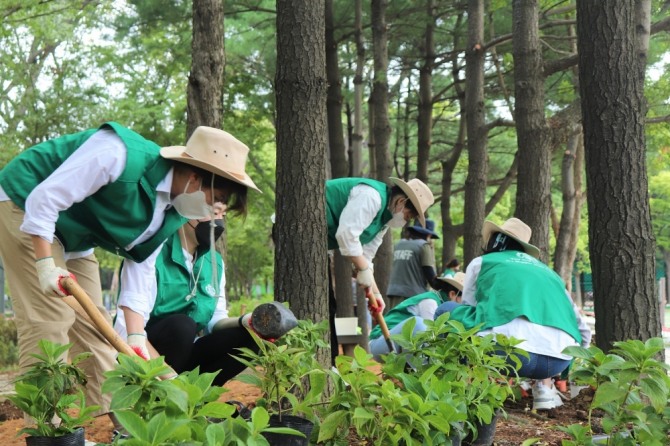 스타벅스가 올해 4월부터 벌인 'Cup a Tree(나무 품은 컵)' 캠페인으로 서울숲에 300평의 숲을 조성했다.사진=스타벅스