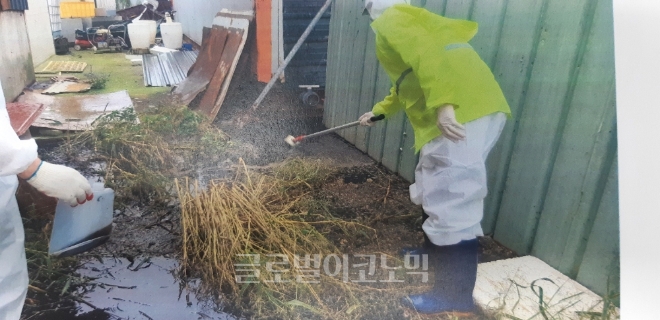 평택시 최승철 환경지도과 팀장과 직원이 유출된 가축분료를 채수하고 있다