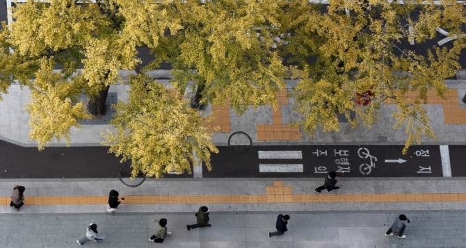 21일 오전 쌀쌀한 서울 도심의 모습. 사진=뉴시스
