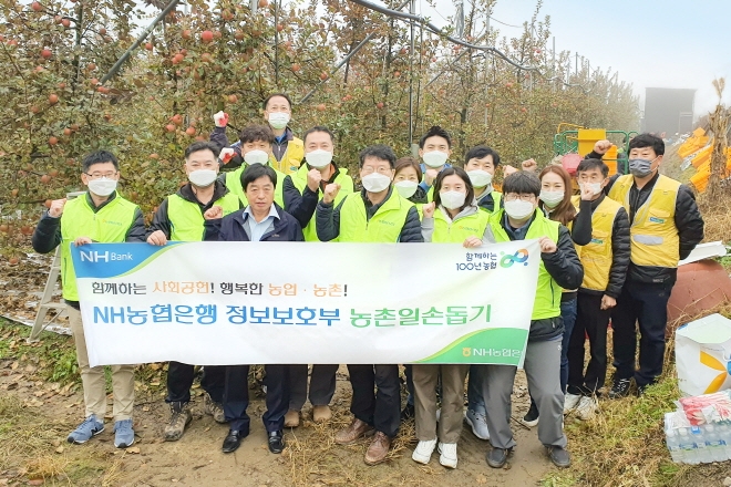 NH농협은행 정보보호부 직원들이 2일 연천군 백학면에 소재한 사과재배 농가를 방문해 일손돕기 전 기념촬영을 하고 있다. [사진=NH농협은행]