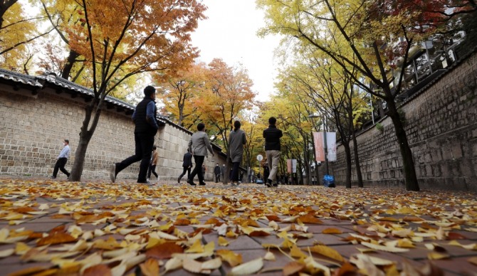 완연한 가을날씨를 보인 지난 1일 오후 시민들이 단풍으로 물든 서울 중구 덕수궁 돌담길을 지나고 있다. 사진=뉴시스