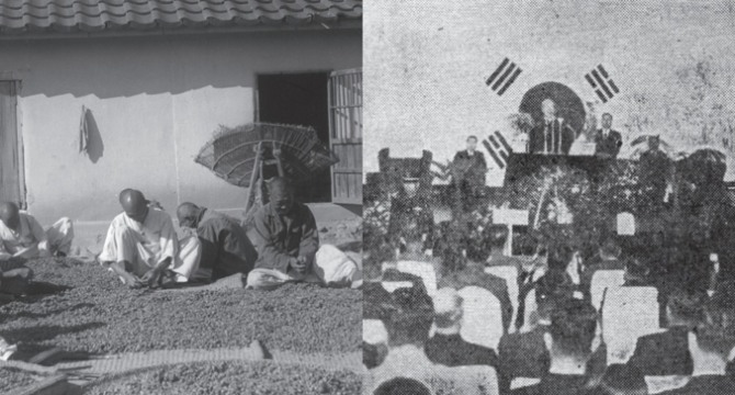 1950년대 수확물을 고르고 있는 농민들(왼쪽)과 1958 농업은행 개업식 [사진=농협중앙회]