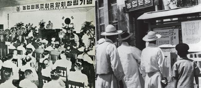 1961년 8월 농업협동조합중앙회 창립기념식(왼쪽)과 1961년 농사자금 배정공고를 보고있는 농민들 [사진=농협중앙회]