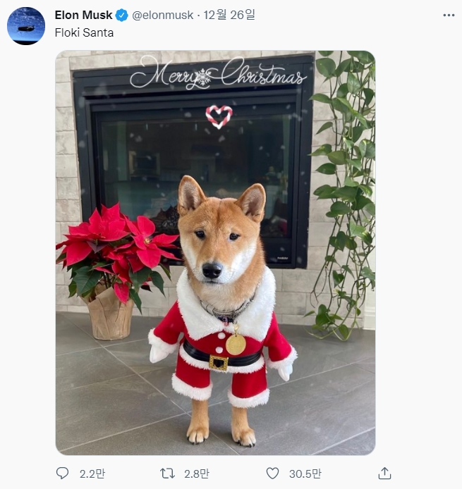 사진=일론 머스크 트위터