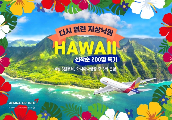 아시아나항공은 4월 3일부터 인천~하와이 노선 운항을 재개한다고 17일 밝혔다. 사진=아시아나항공