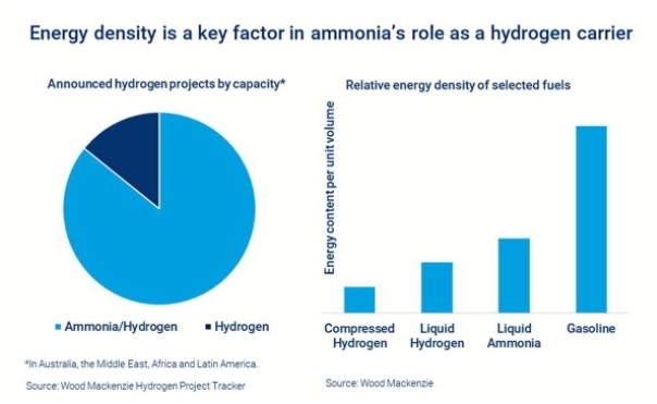 암모니아가 우수한 기술적 특성으로 수소 수출 프로젝트의 대부분을 담당하고 있다. 사진=우드맥켄지