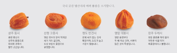 곶감 명산지 대표 다섯 품종. 사진=롯데백화점