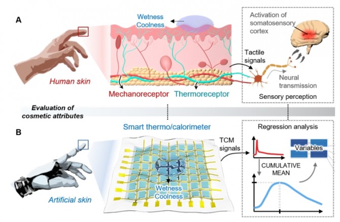 아모레퍼시픽과 울산과학기술원이 세계 최초로 '지능형 촉각 센서'를 공동 개발했다. 사진=아모레퍼시픽