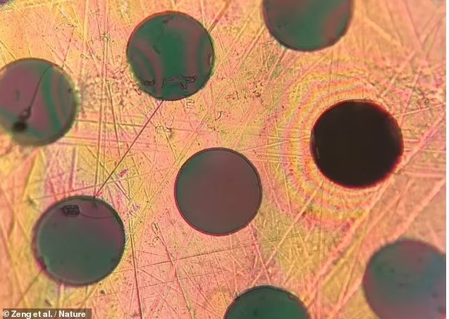 MIT과학자들이 플라스틱처럼 가볍지만 강철보다 강한 물질을 개발해 주목된다. 사진=네이처