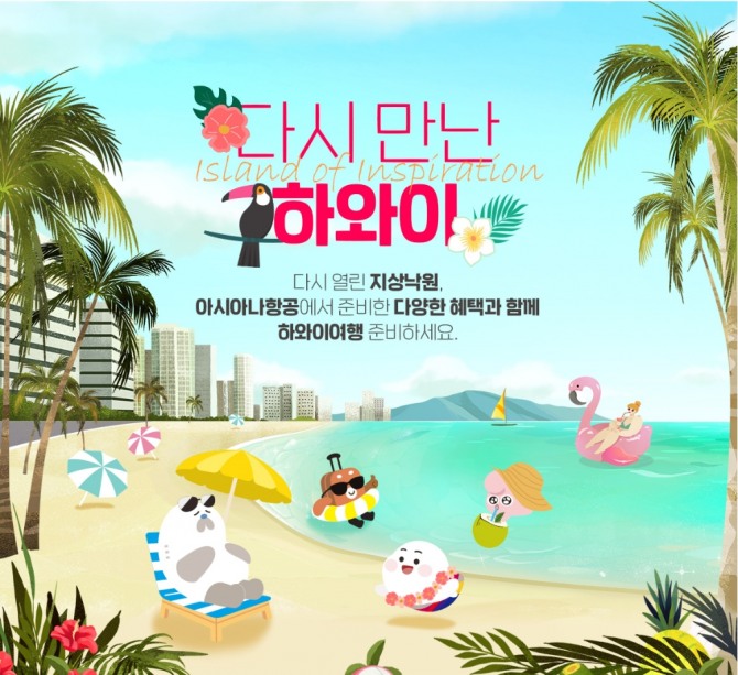 아시아나항공은 14일 하와이 운항 재개를 기념해 프로모션을 실시한다. 사진=아시아나항공