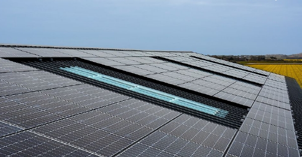 네덜란드 최대 규모 화훼 농장에 설치된 한화큐셀 태양광 모듈. 사진=한화큐셀 제공