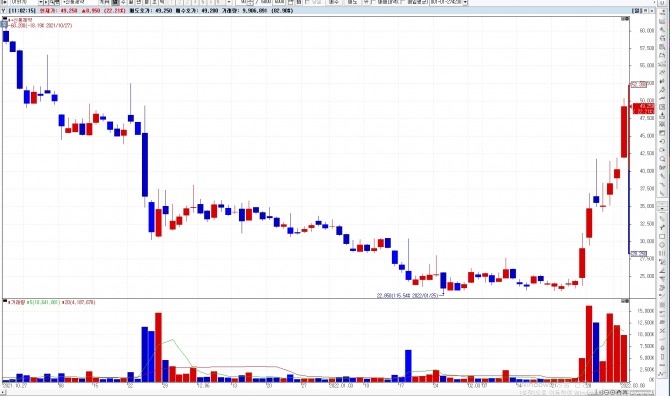 사진=신풍제약 주가 그래프