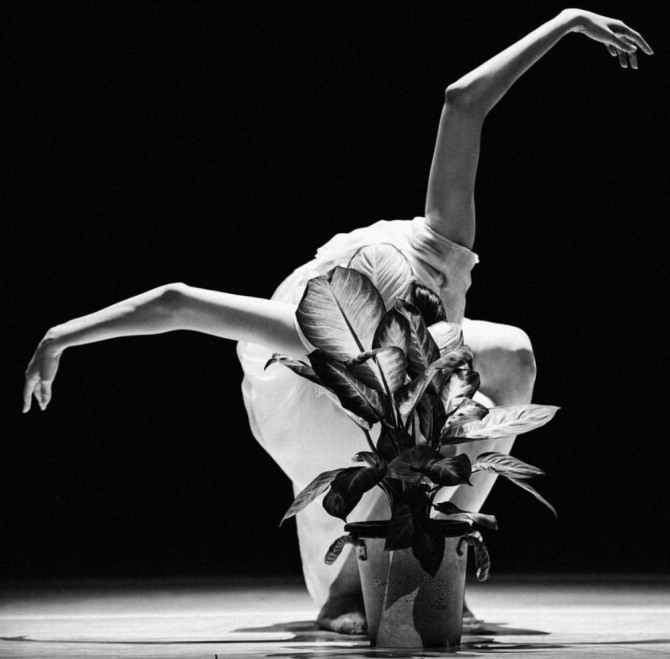 장윤나 안무의 '여인'. 2015년 제5회 솔로이스트.