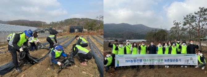 농업·녹색금융부문 김춘안 부행장과 임직원봉사단이 농촌정비활동을 하고 기념촬영을 한 모습 [사진=NH농협은행]