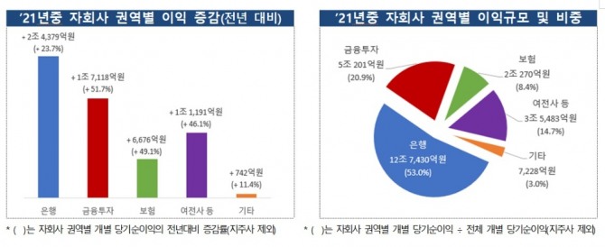 지주 자회사 권역별 이익 현황. 자료= 금융감독원