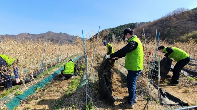 농협경제지주 경제기획본부 임직원들이 7일 강원도 홍천군 고추농가에 방문해 일손을 돕는 모습 [사진=농협]