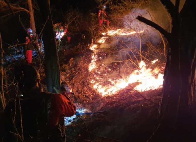 충남 서산 운산면 고풍리 일대에서 산불이 발생한 가운데 진화작업을 벌이고 있는 모습. [사진=산림청]