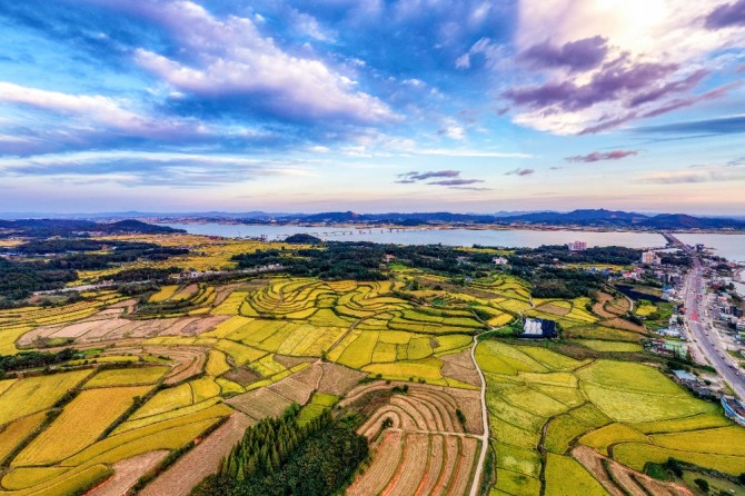 최근 비료 가격이 2~3배 폭등하자 아시아 지역 농민들은 쌀 수확량 감소를 우려하고 있다. 자료=글로벌이코노믹