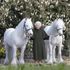 An image released by the Royal Windsor Horse Show to mark the Queen's 96th Birthday. Pic: henrydallalphotography.com