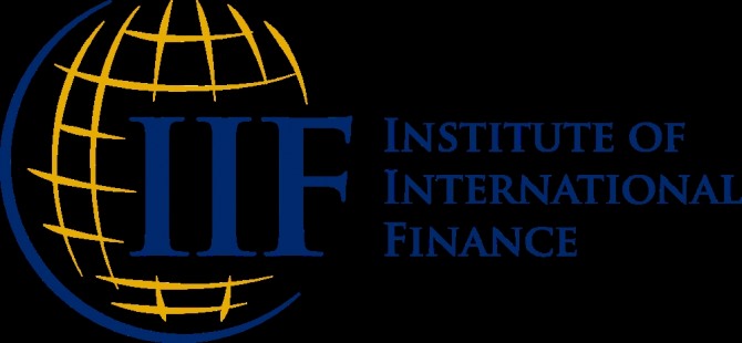 민간 금융기관 연합체인 국제금융협회(IIF)