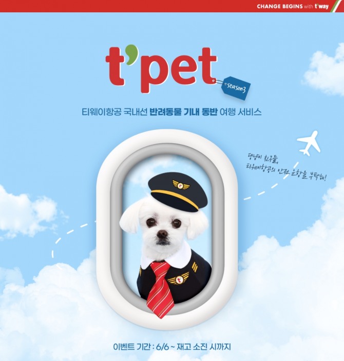 티웨이항공의 t’pet(티펫) 시즌 3 이미지=티웨이