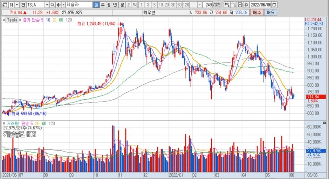 테슬라의 최근 1년여간 주가 변동 추이. 자료=키움증권