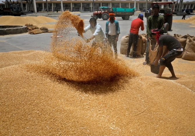 인도 아메다바드 외곽의 농산물 마케팅위원회(APMC) 시장 마당에서 일꾼들이 자루를 채우기 전에 밀을 체로 치고 있다. 사진=로이터