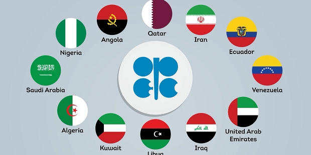 석유수출국기구(OPEC)  회원국