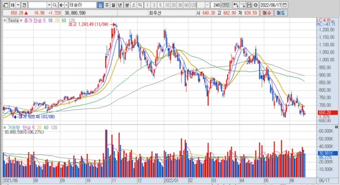 테슬라의 지난 1년여간 주가 변동 추이. 자료=키움증권