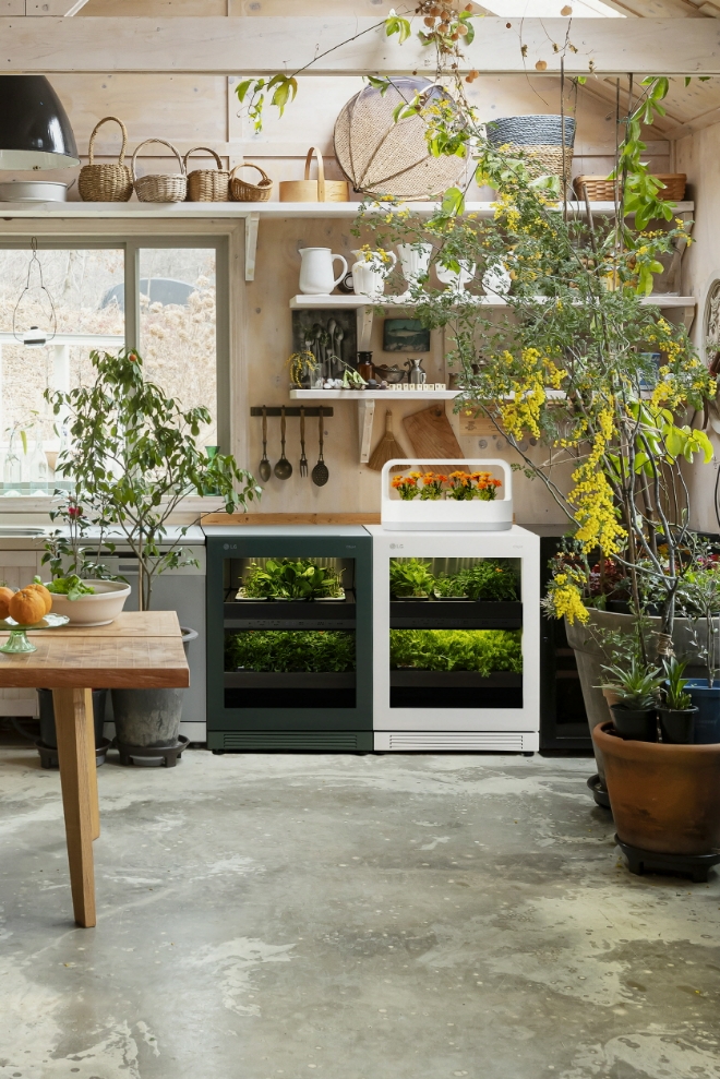 LG 틔운과 틔운 미니의 인테리어 사진. 사진=LG전자